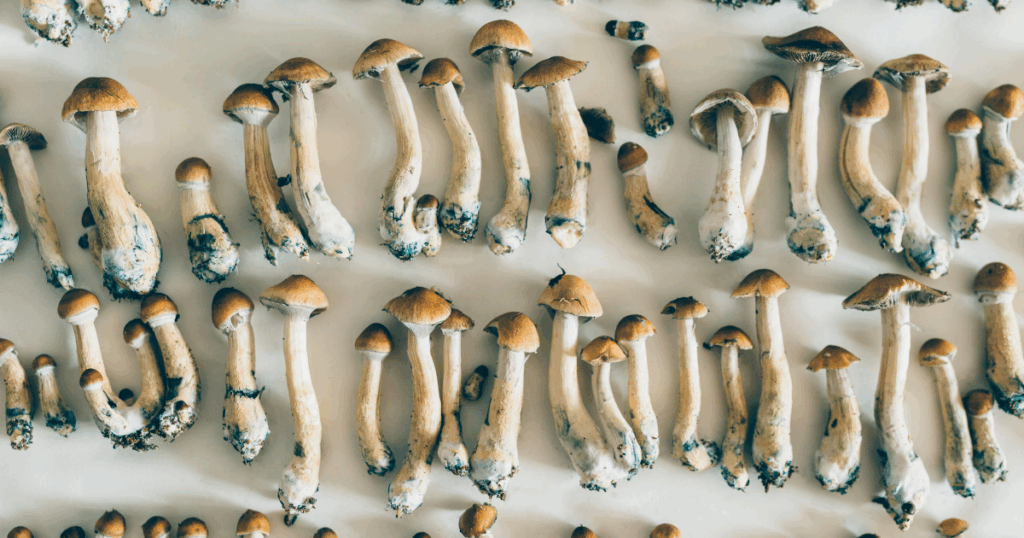 2 - Visalia Recovery Center